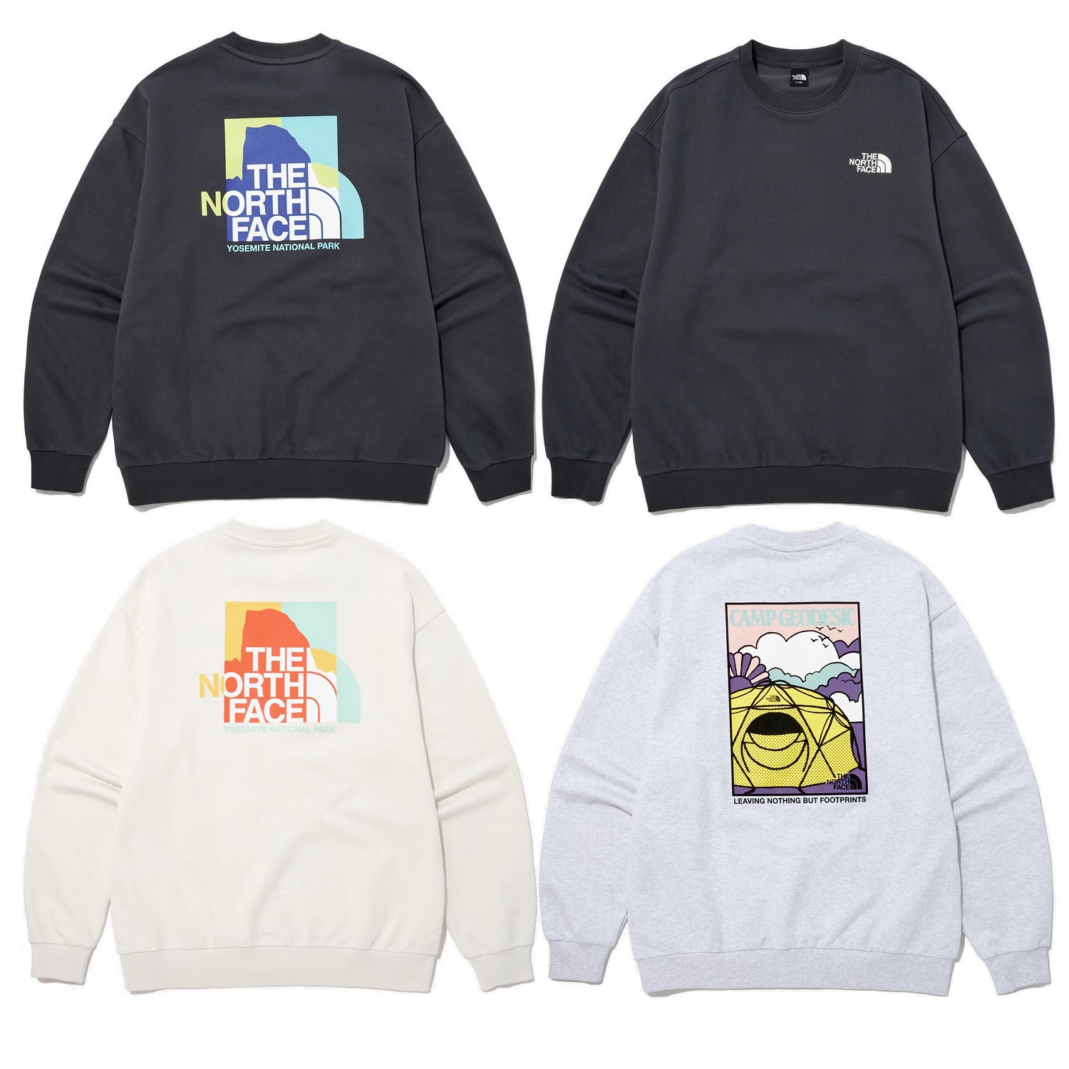 TNF NSE SWEATSHIRTS 3色 新商品 リニューアル 韓国人気 韓国ファッション マンツーマン シャツ 女性服 韓国スタイル 学生ファッション