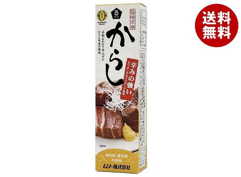 ムソー 旨味本来 からし(チューブ入り) 40g＊10本入＊(2ケース)