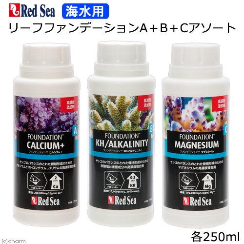 レッドシー　リーフファンデーションＡ＋Ｂ＋Ｃセット　サンゴ　成長　骨格　ＣＲＣ10―35―45―10―00