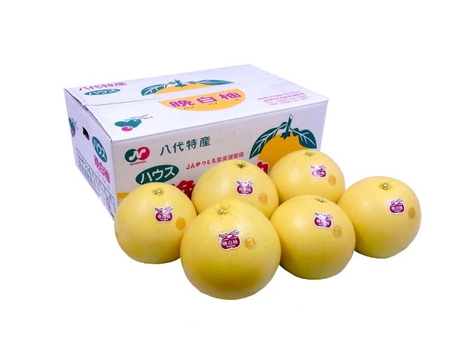 熊本県八代特産 =晩白柚= ばんぺいゆ 秀品 Lサイズ 6玉 約10kg 化粧箱 予約 12月以降