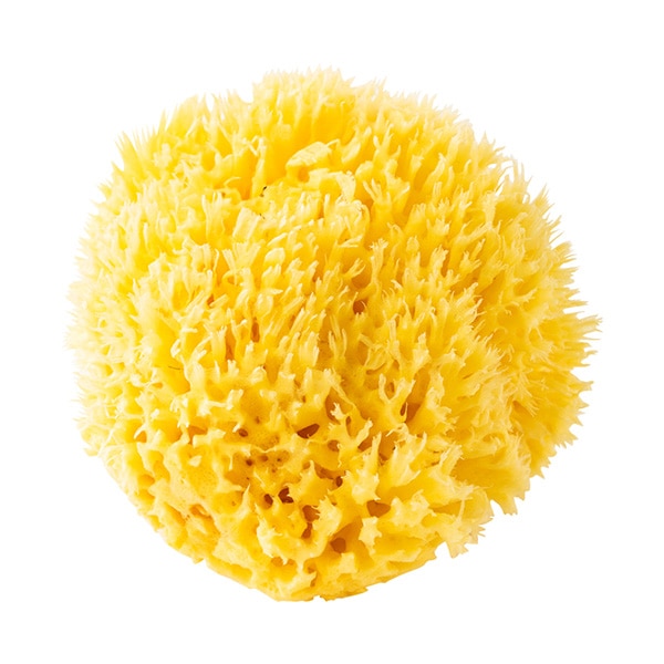 イルコルポ　ナチュラルシースポンジ　(海綿)