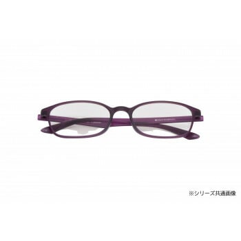 エッシェンバッハ エアーPC II 度無し パープル 2994-5200