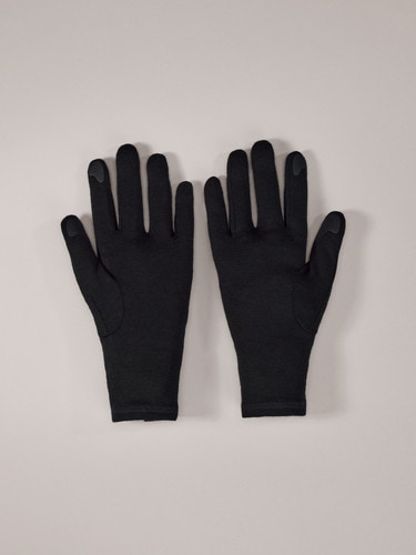 ARCTERYX アークテリクス GOTHIC GLOVE 保温 グローブ メンズ レディース