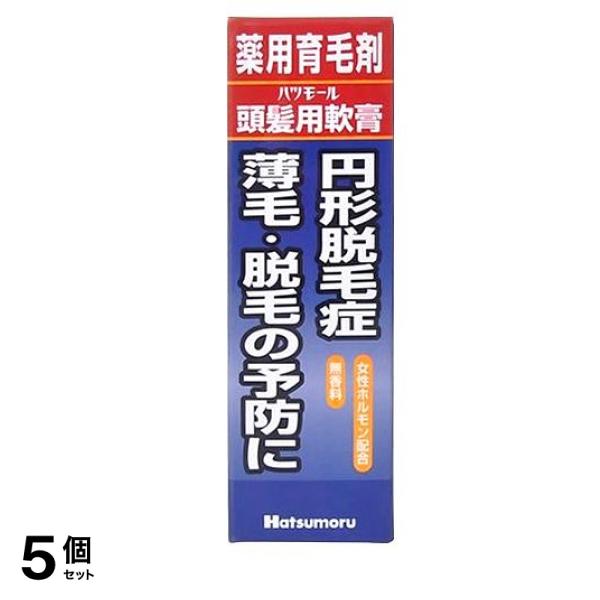 頭髪用軟膏 25g 5個セット