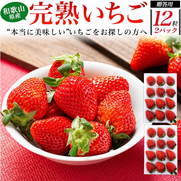 希少 完熟　いちご 和歌山県産　まりひめ 秀品以上　12粒x2パックセット　贈答用 化粧箱　コクのある甘みと程よい酸味　和歌山県オリジナルブランド苺　ギフト 果実 フルーツ