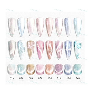 60PCS 6 色ネイルブラシ付き カラージェルセット キラキララメ入り シルバー紫ブルー ジェルネイルポリッシュ！