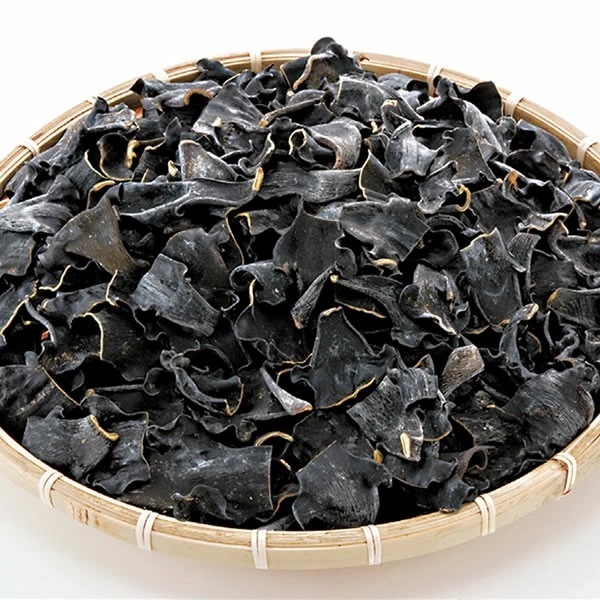 北海道産 ネコ足根昆布 800g ねこんぶ 食物繊維 ミネラル 健康 根昆布水 昆布水