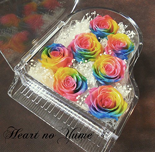楽天ランキング1位高級プリザーブドフラワー７レインボーローズ　プリザーブドフラワーピアノ　誕生日 母の日　結婚記念日　結婚祝い　卒業祝い　ホワイトデー　クリスマス　入学祝い　入社祝い　退職祝い 12,166円