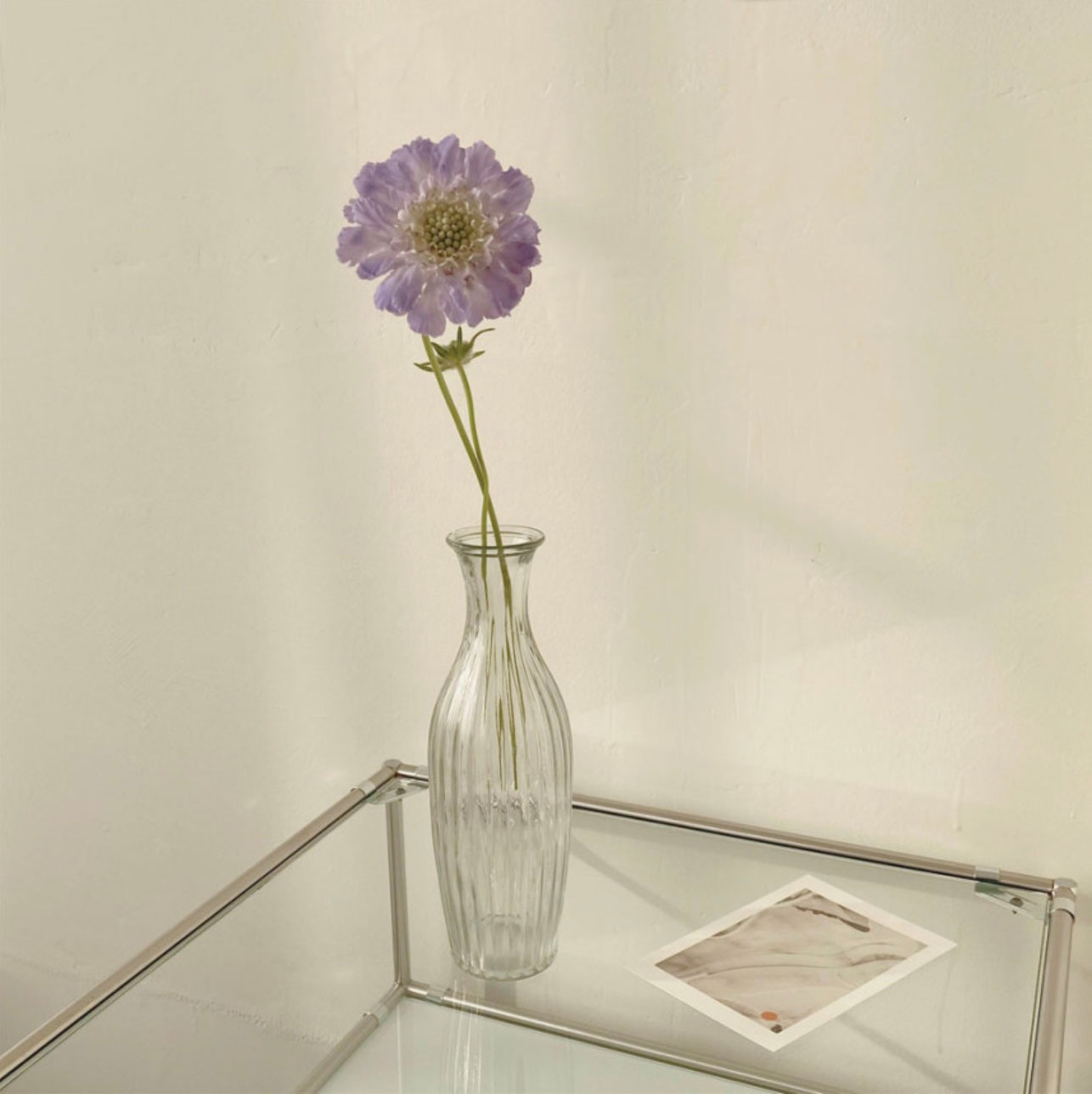 縦 ストライプ 花瓶 3colors ひょうたん 透明 クリスタル 74 Off ガラス一輪 オブジェ