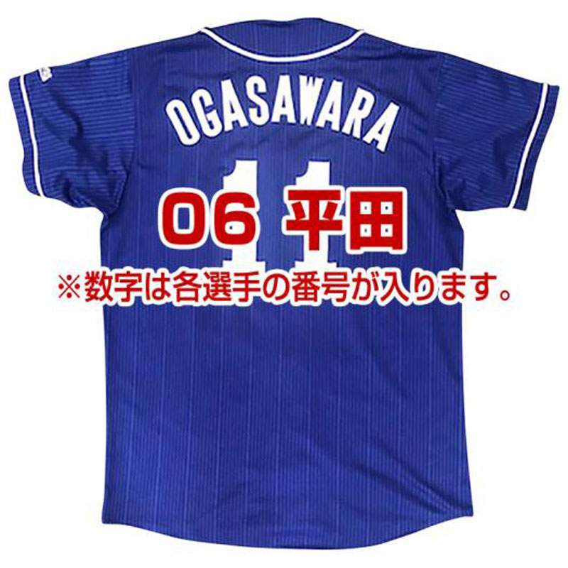 Dragonsレプリカユニフォーム(ビジター/番号/個人名有り) 野球 球団グッズ 中日ドラゴンズ (12JRMD33)