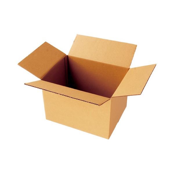 （まとめ）TANOSEE 無地ダンボール箱 PC用紙対応（M）サイズ 高さ290mm 1パック（10枚） 5セット