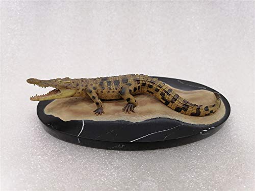 Memory Museum 1/15 サイズ ワニ 鰐 動物 肉食性 リアル フィギュア PVC プラモデル おもちゃ 模型 動物好き 誕生日 プレゼント オリジナル コレクション 台座付き