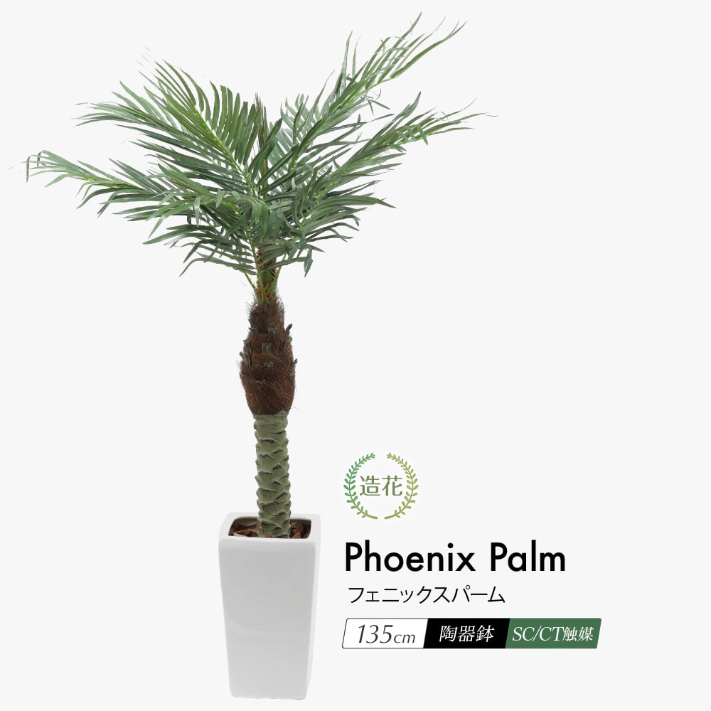 フェイクグリーン フェニックスパーム 135cm 鉢植 陶器鉢 CT触媒 12,210円
