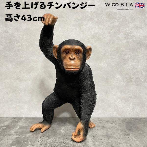 置物 手を上げるチンパンジー 高さ43cm woobia ウービア 大きい かわいい おしゃれ ガーデン インテリア オブジェ 巨大 可愛い プレゼント 北欧 玄関 雑貨 動物 モダン 面白い 庭 ギ