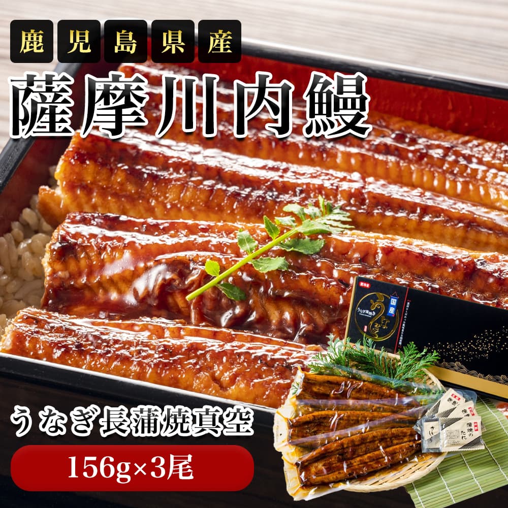 【お中元 200円OFF】ギフト 2025 薩摩川内鰻 鹿児島県産 うなぎ長蒲焼真空 156g×3尾 ギフトセット 御中元 夏ギフト うなぎ 蒲焼