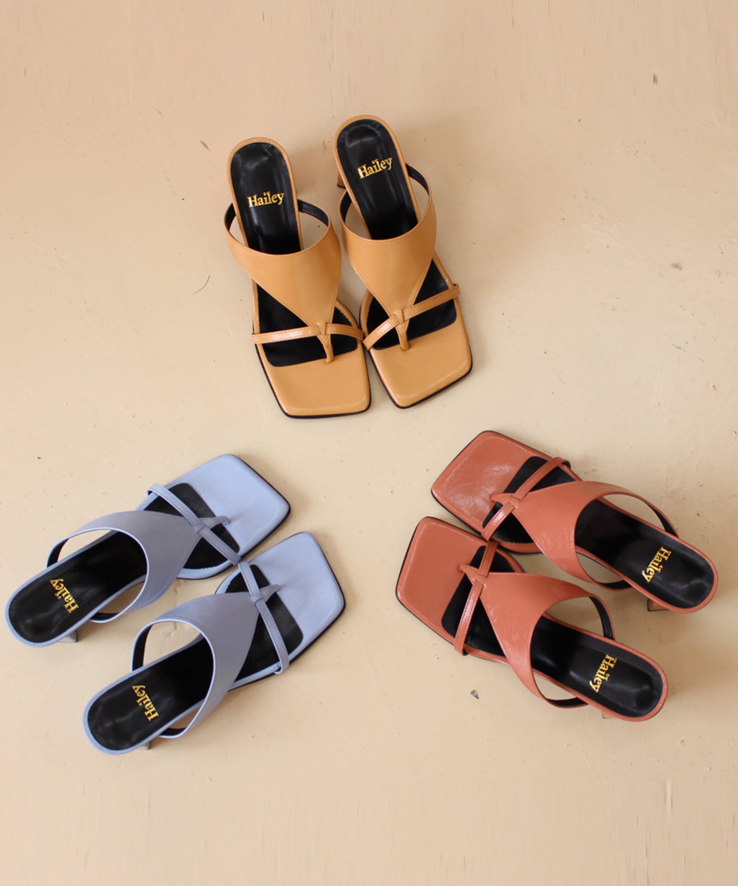 ヘイリーによる14日間の制作   HJ210057_3: カラー