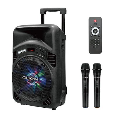 他サイト： CICONIA チコニア トロリースピーカー CTX08BSの商品画像