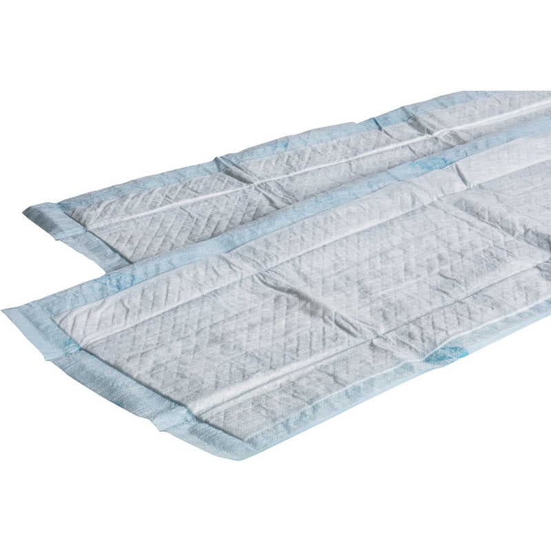 テラモト　テラモト吸水ポリマーダスター2 　CL3575460