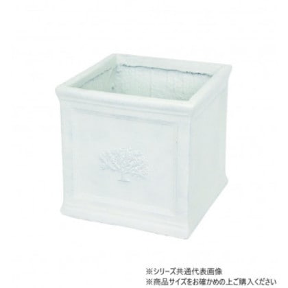 村田屋産業 スクエアポットフォレスト 8号 White 3735