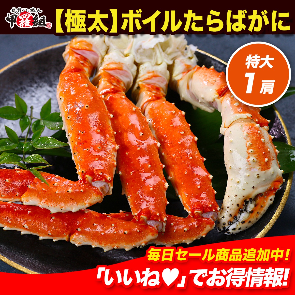 特大＆極太たらばがに 足 1kg前後 1肩シュリンク包装 タラバガニ たらば蟹 たらばがに かに 蟹 冷凍 カニ鍋 かにしゃぶ 焼きガニ 贈り物 贈答用 贅沢 ご褒美 ギフト グルメ