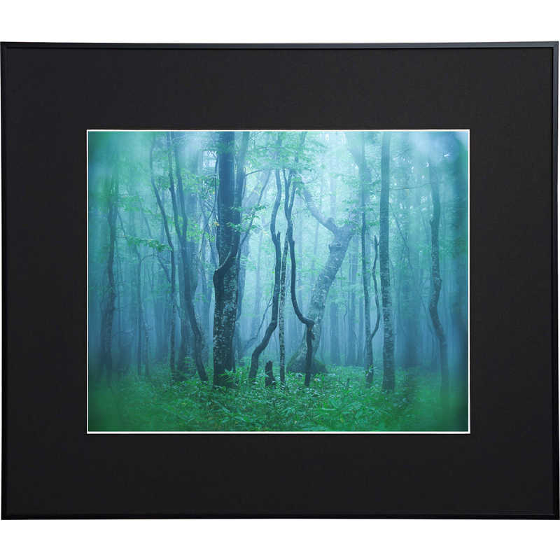 ケンコー　ギャラリー 半切 ブラック　AGY-H-BK 6,442円