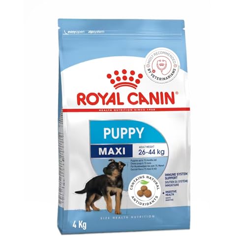 SHN マキシ ジュニア 犬用 4kg