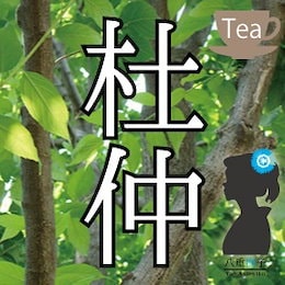 【DM便選択で送料無料】「杜仲茶」30包入り 古き良き健康の知恵!【ダイエット】【ノンカフェイン】【アンチエイジング】とちゅう茶/トチュウチャ杜仲茶(とちゅうちゃ)【PPTB】