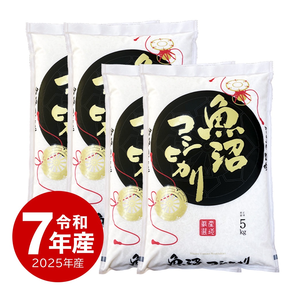 米 20kg 魚沼産コシヒカリ 令和7年産 お米 白米 20キロ こしひかり