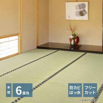 フリーカット裏付き い草カーペット みすず 本間6帖 約286x382cm 158005060