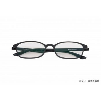 エッシェンバッハ エアーPC II 度無し ブラック 2994-5500