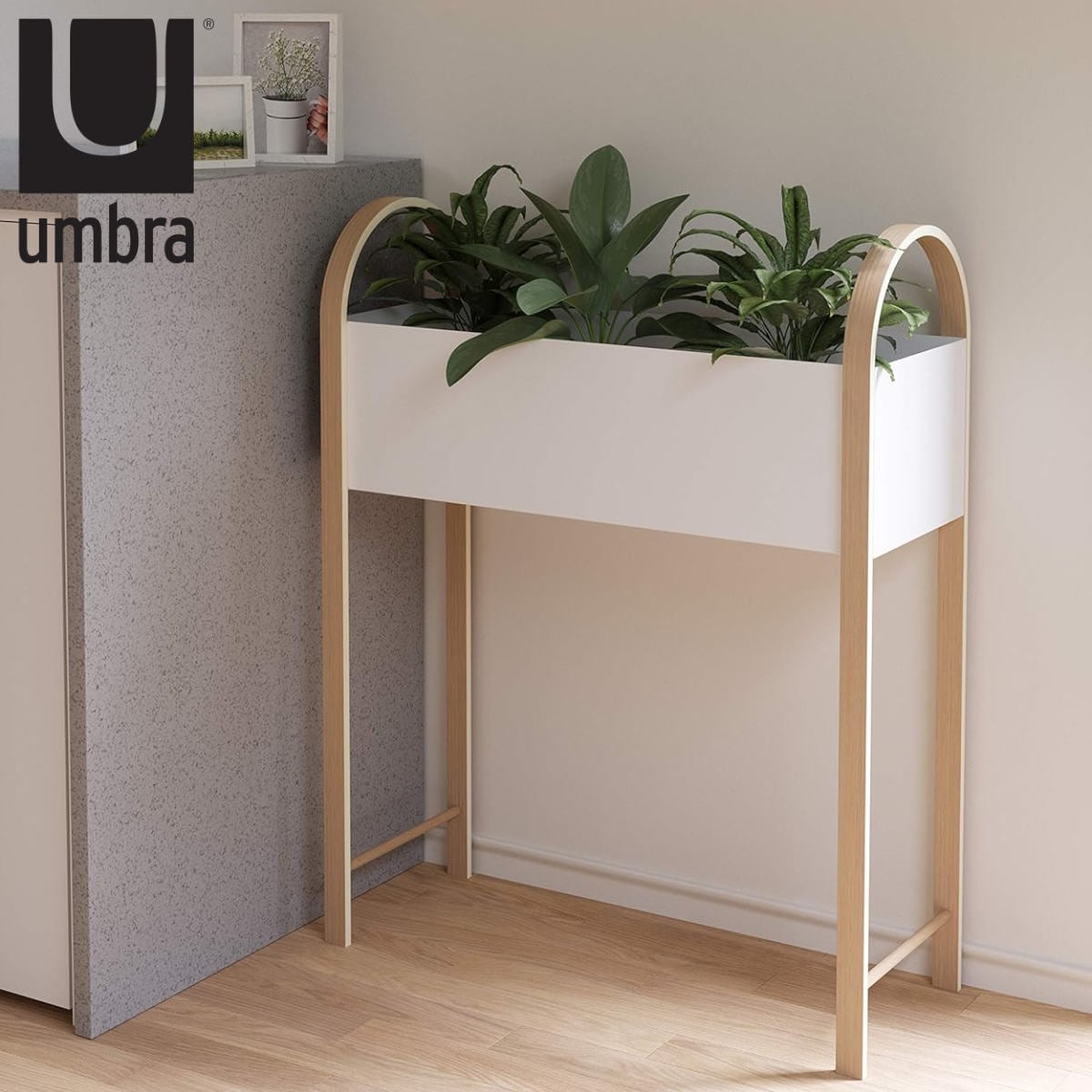 Umbra プランタースタンド プランター グローブ スタンド 鉢置き 花台 プラントスタンド プラントポット 植木鉢 プランター台 ポット 鉢ポットフラワーラック 飾り台 プランターラック 17,361円