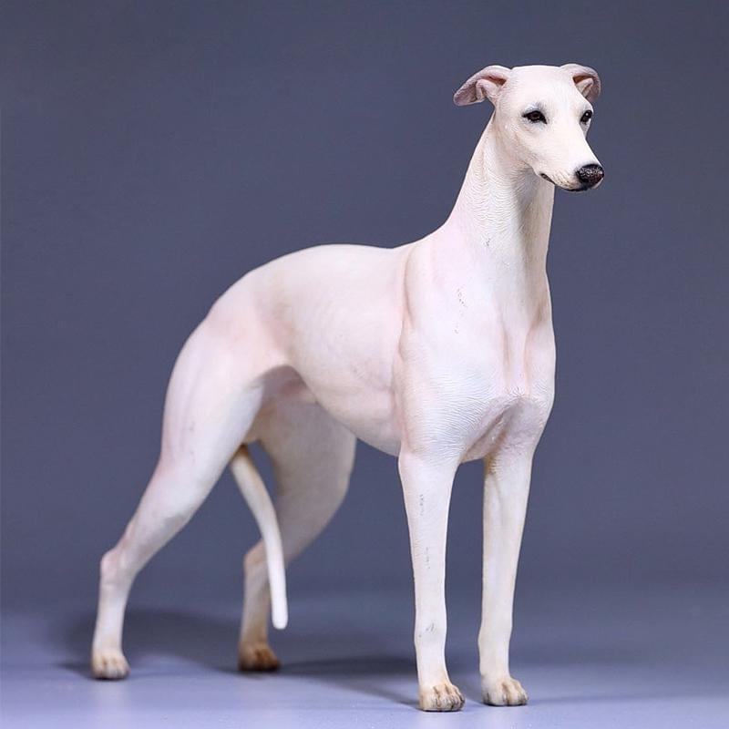 JXK 1/6 サイズ イングリッシュグレイハウンド 犬 動物 リアル フィギュア プラモデル プレミアム 模型 17.5cm オリジナル スタチュー プレゼント 置物