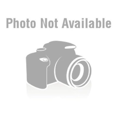 他サイト： タナックス (TANAX) バイク用 MOTOFIZZ シートバック固定ベルト Kシステム ベルト Y20【MFK-063対応】 MP-304の商品画像