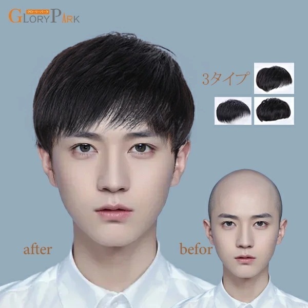 【激安開催！】総手植えウィッグ メンズウィッグ男性用 耐熱ウィッグ 自然人毛 3タイプ ブラックインテリウィッグ 日常用 ウィッグ 療用かつら