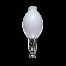 東芝 蛍光水銀ランプ（水銀灯） 蛍光形 100W E26口金 【単品】 HF100X/N