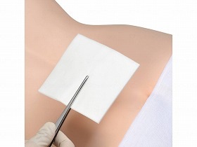 デルマエイド（100枚入） 6号 11984