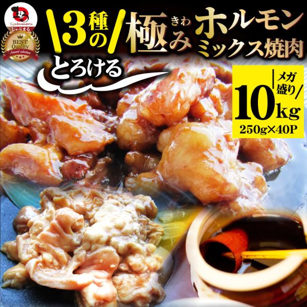 三種 ホルモン ミックス 焼肉 10kg（250ｇ×40パック）秘伝 タレ漬け バーベキュー BBQ 肉 焼くだけ 冷凍キャンプ