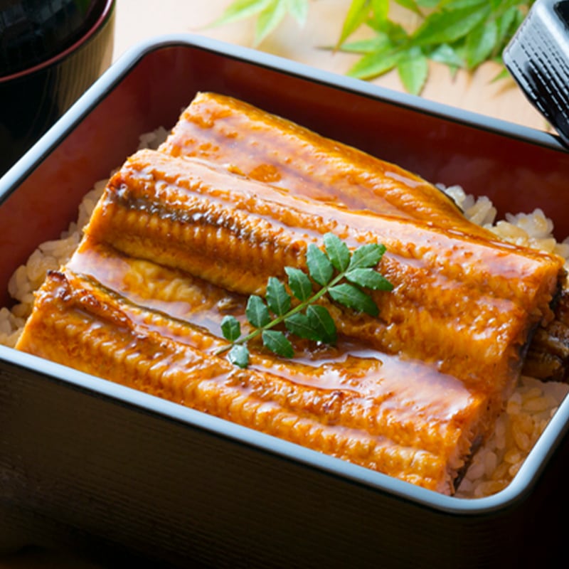 【1kg(100g*10食)】鰻の蒲焼き！温めるだけふっくら本格