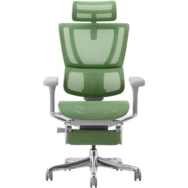 関家具 459652 Ergohuman FIT2-LPL-DR-GF-GN グレーフフレーム×グリーン オフィスチェア メーカー直送