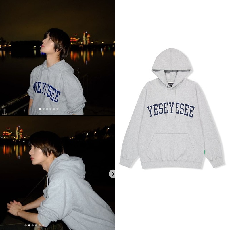 [TXT ボムギュ着用]Arch Logo Hoodie Grey