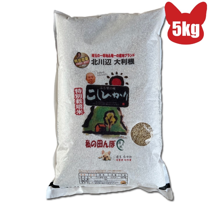 残留農薬ゼロ コシヒカリ 玄米 5kg 精米無料 令和６年 埼玉県北川辺産