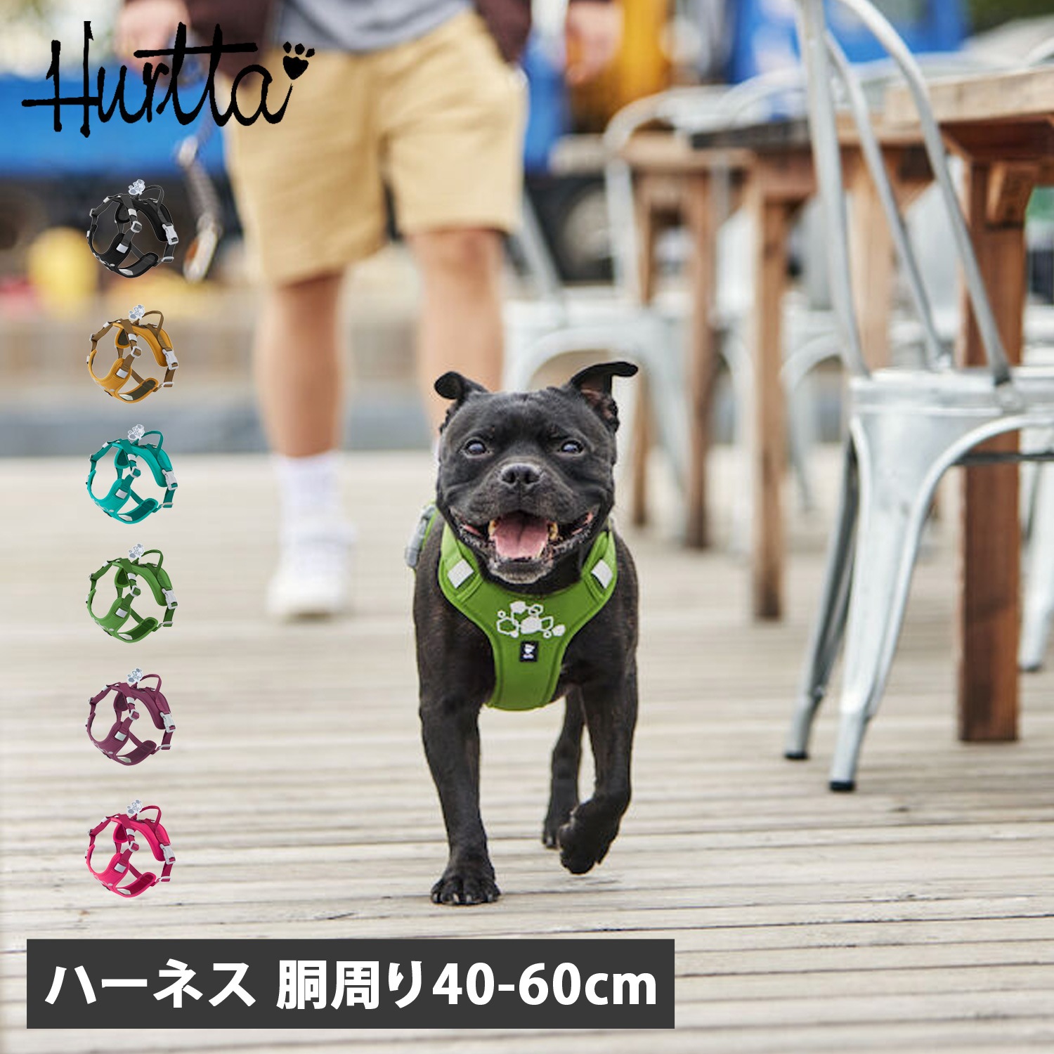 ハーネス 犬 小型犬 中型犬 Y型 抜けない 脱げない 軽量 引っ張り防止 着脱簡単 ウォーリアハーネス２