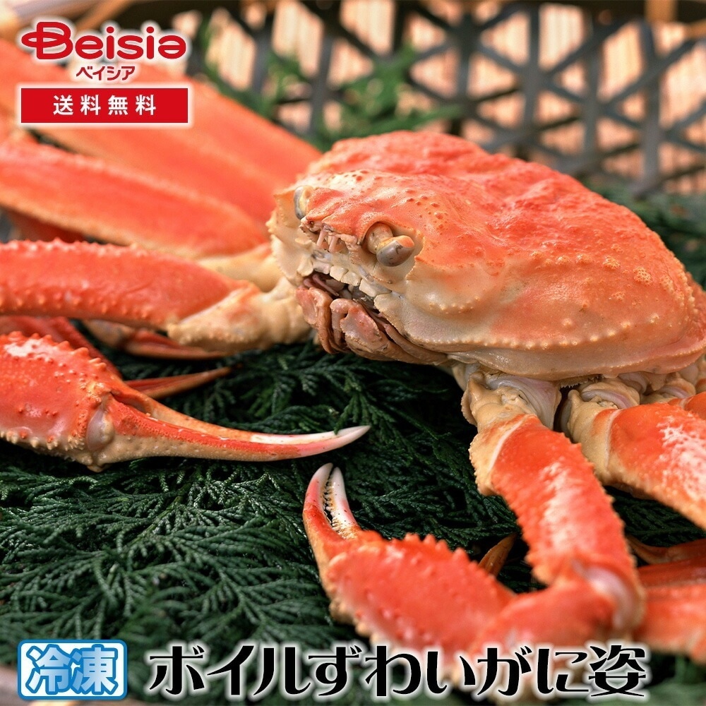 カネサン佐藤水産 ボイルずわいがに姿 400g*2 ボイルずわいがに 姿 蟹 カニ 400g 2尾 海鮮 ギフト 贈り物 グルメ お取り寄せ 冬の味覚 年末年始