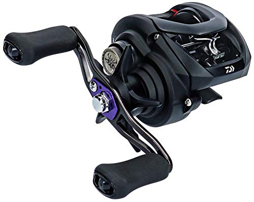 新発売 ダイワ(DAIWA) ベイトリール 19 タトゥーラ TW 100XH (2019