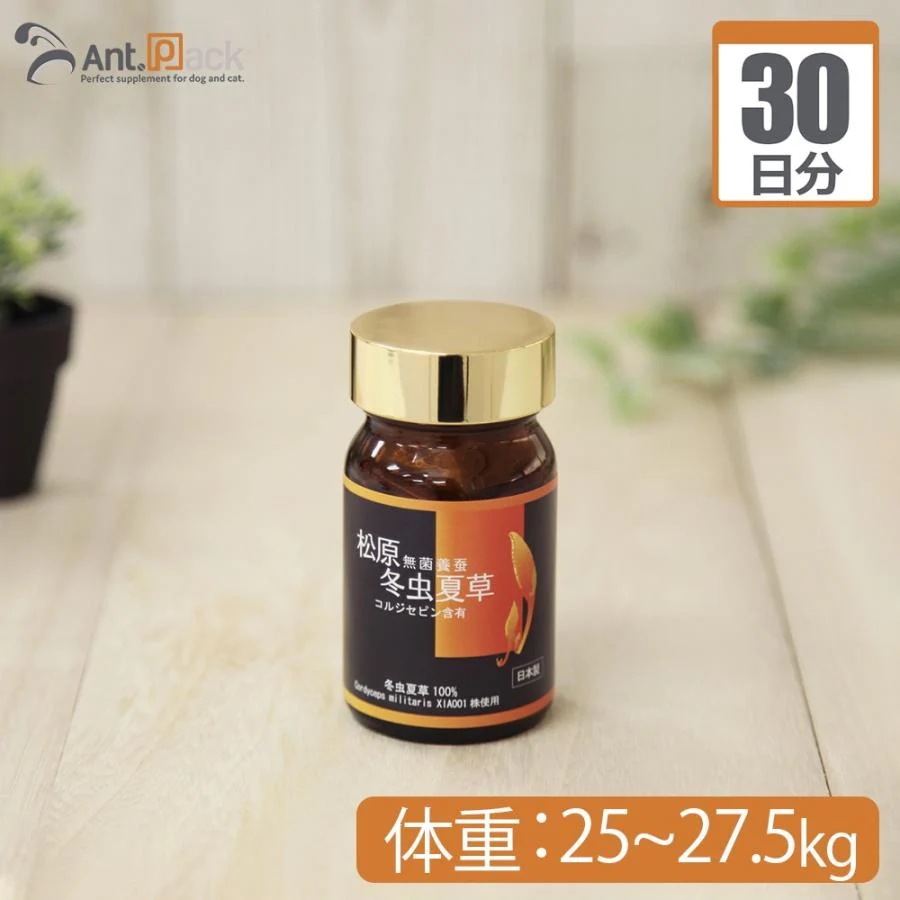 (分包サプリ)松原 無菌養蚕 冬虫夏草 犬猫用 体重25kgから27.5kg 1日0.55g30日分
