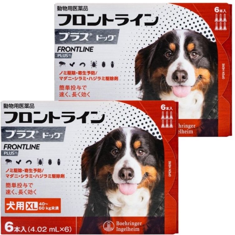 2個セット フロントライン プラス ドッグ XL 6本入 犬用 フロントライン 犬 XL 駆除薬 動物用医薬品