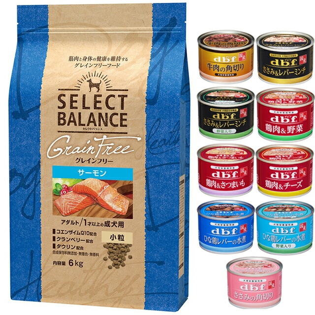 セレクトバランス グレインフリー アダルトサーモン 小粒 6kg【犬想いオリジナルセット 】【デビフ150g缶詰 1缶プレゼント】