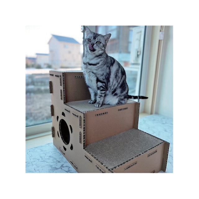 ables(アブレス) 猫ハウス キャットハウス secret base ステップハウス 爪とぎ付き