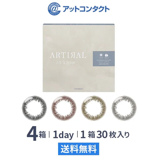 アーティラルワンデー58UVM 30枚 4箱
