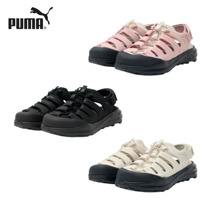 HYPNOTIC VENTRA [公式正規品]